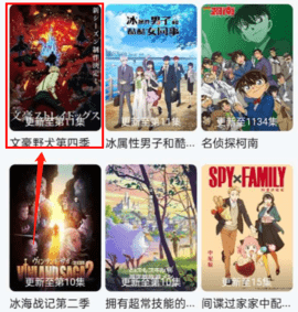 新想视频投屏版