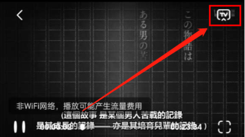 新想视频投屏版