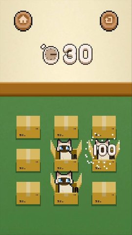 數(shù)貓貓