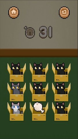 數(shù)貓貓