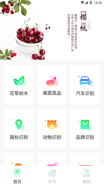 智能拍照识物截图欣赏