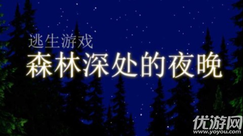 森林深处的夜晚