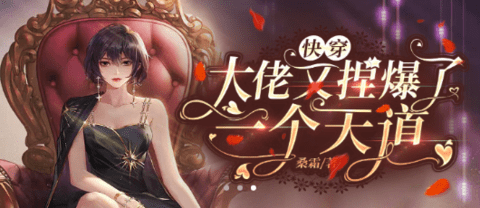 稻米小說