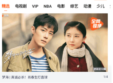 VIP視界