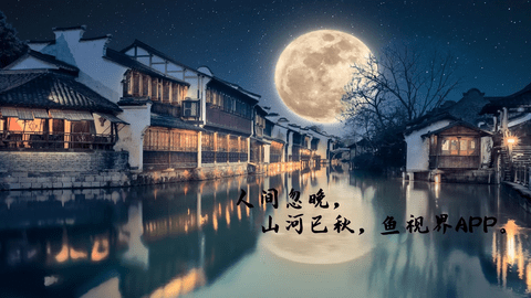 魚視界