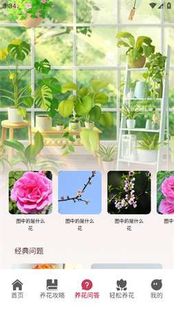 小蘭君養(yǎng)花大師截圖欣賞