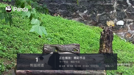 秋天tv