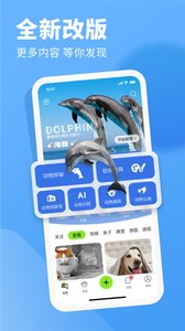 探奇動(dòng)物界截圖欣賞