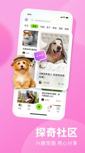 探奇動(dòng)物界截圖欣賞