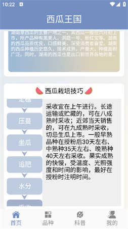 西瓜王國(guó)