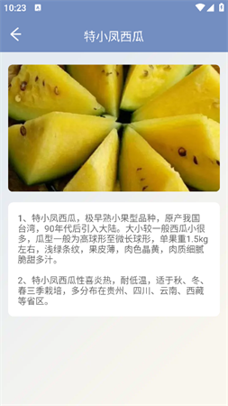西瓜王國(guó)截圖欣賞