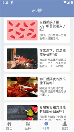 西瓜王國(guó)截圖欣賞