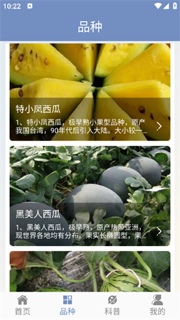 西瓜王國(guó)截圖欣賞