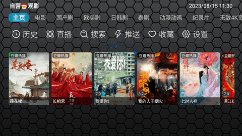 探片