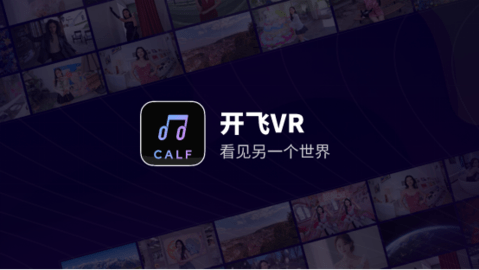 开飞VR