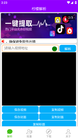 檸檬解析截圖欣賞