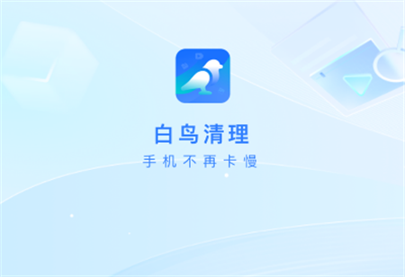 白鳥清理