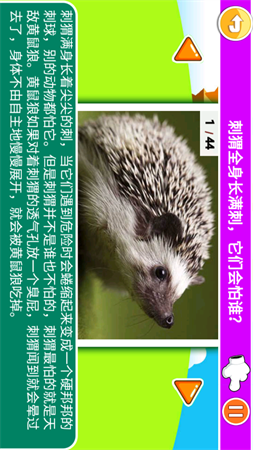 十萬個為什么截圖欣賞