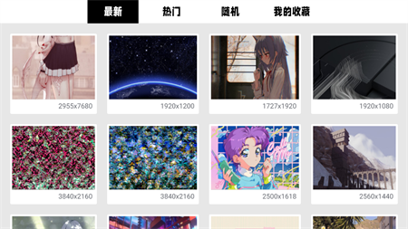 WOW電視壁紙