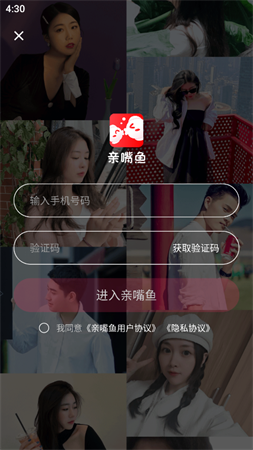 親嘴魚截圖欣賞