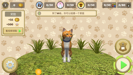 動物模擬生存