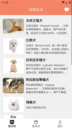 火火聚看