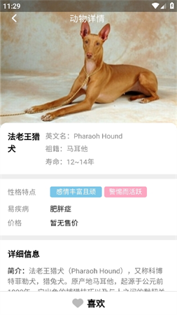 火火聚看截圖欣賞