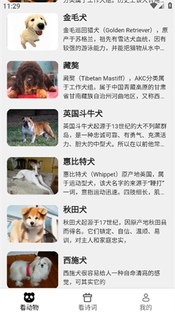 火火聚看截圖欣賞