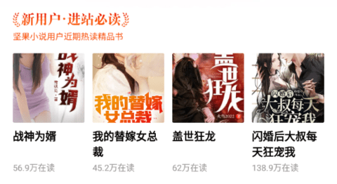 堅果小說