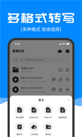 精准录音转文字游戏截图