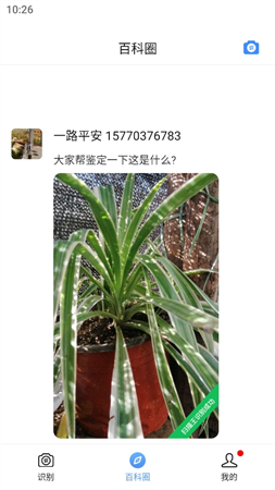 百科掃描王截圖欣賞
