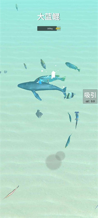 騎鯤與捕魚