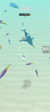 騎鯤與捕魚截圖欣賞