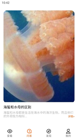 桃橙刷刷截圖欣賞