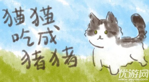 猫猫吃成猪猪