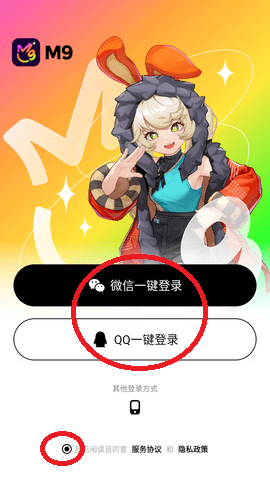 代號M9