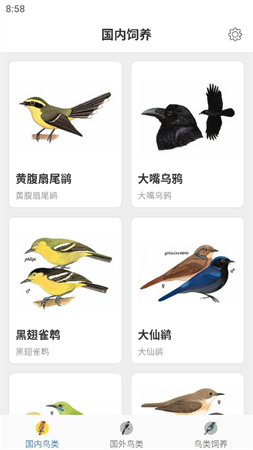 鴨鴨的世界截圖欣賞