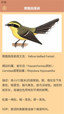鴨鴨的世界截圖欣賞