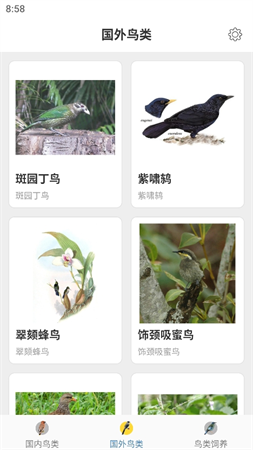 鴨鴨的世界截圖欣賞