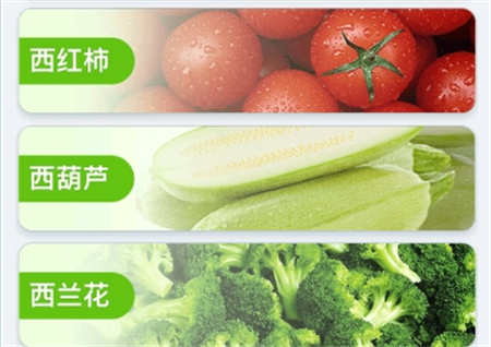 種菜專業(yè)戶