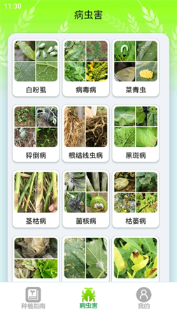 種菜專業(yè)戶截圖欣賞