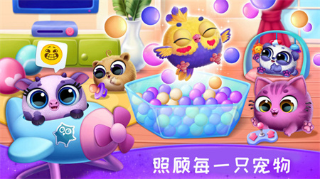 照顧寵物成長(zhǎng)