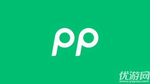 PP停車