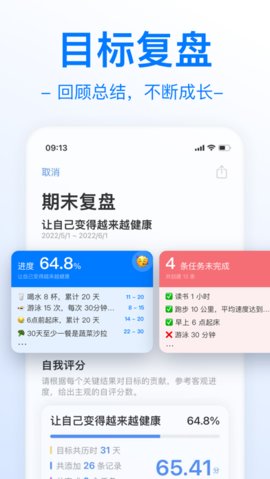 Vision游戏截图