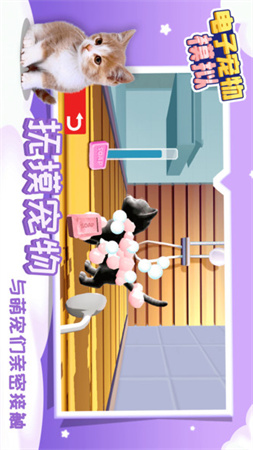 電子寵物模擬截圖欣賞