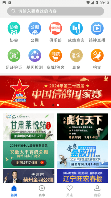 中國信鴿協(xié)會(huì)截圖欣賞