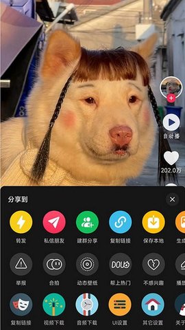 逗音小能手模塊截圖欣賞