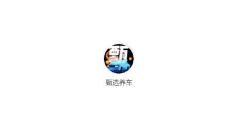 甄选养车