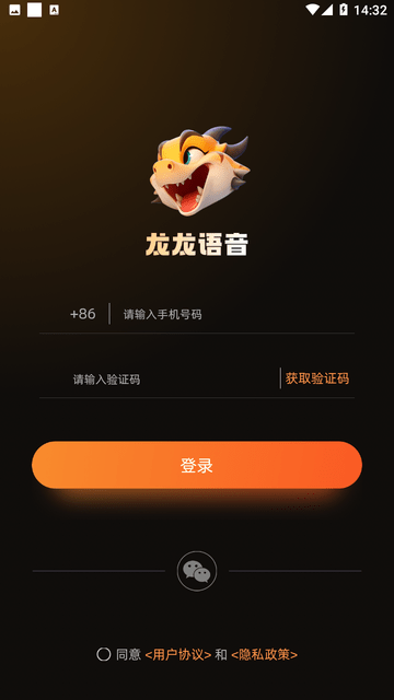 龙龙语音游戏截图