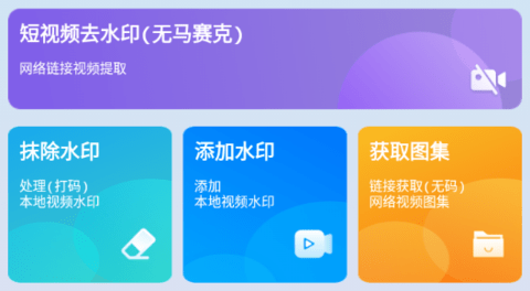 视频去水印擦除大师